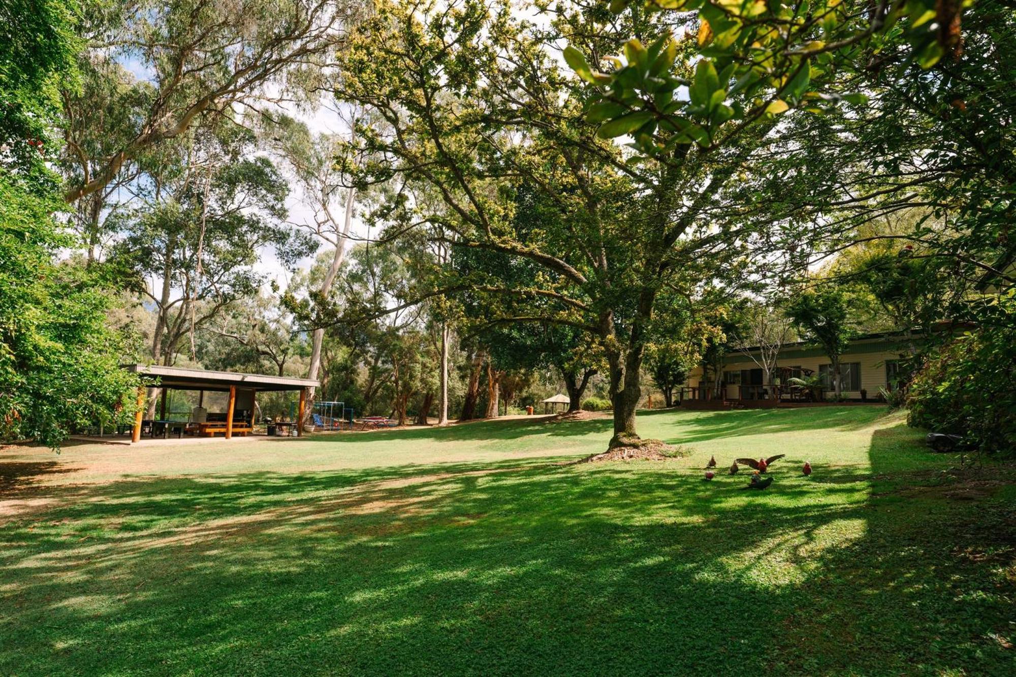 Alpine Riverside Cottages Porepunkah Bagian luar foto