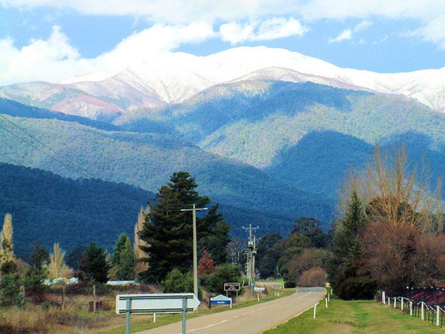 Alpine Riverside Cottages Porepunkah Bagian luar foto
