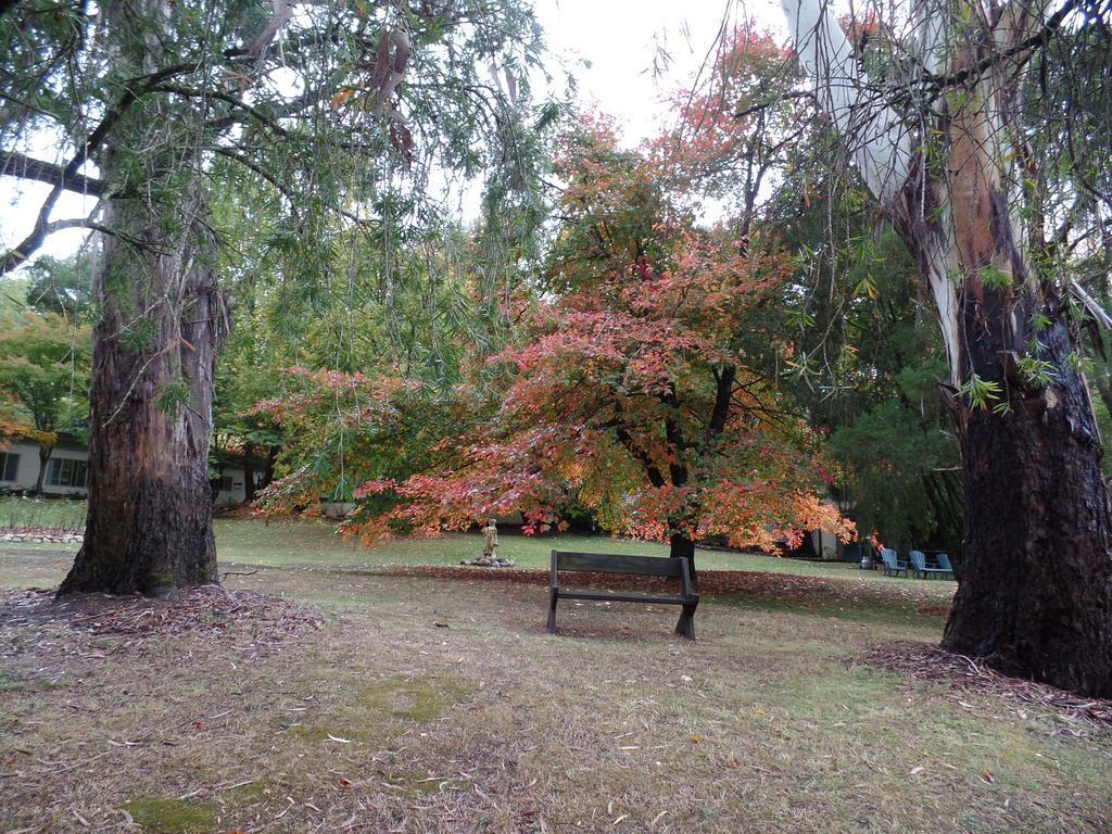Alpine Riverside Cottages Porepunkah Bagian luar foto